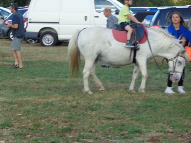 9 Le cheval (22) (Small)