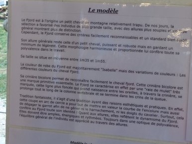 9 Le cheval (27) (Small)