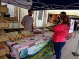3 Marche d ete Musique (37) (Small)