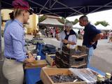 5 Marche d ete bluet plantes miel escargots (1) (Small)