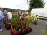 5 Marche d ete bluet plantes miel escargots (30) (Small)