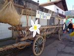 DSC09645 (Small)