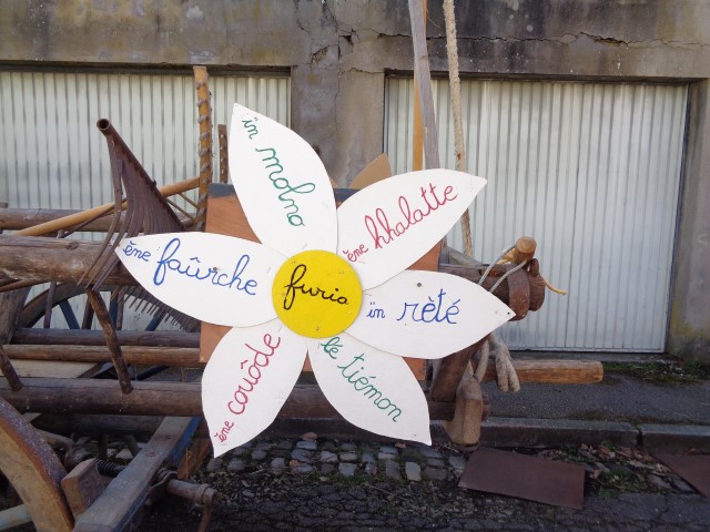 DSC09646 (Small)