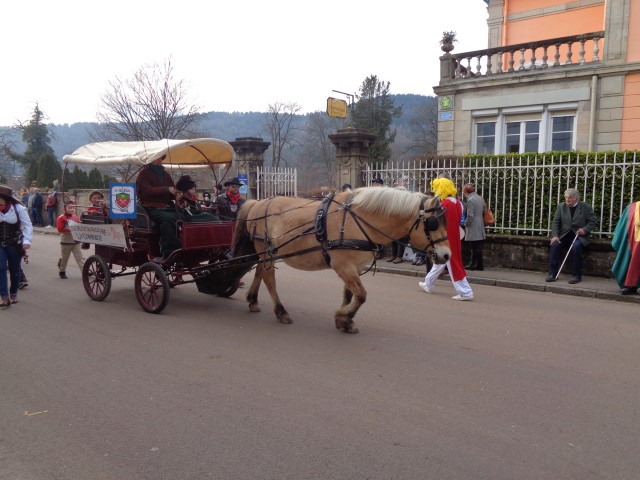 DSC09863 (Small)