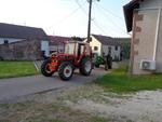 Parade (17) (Small)