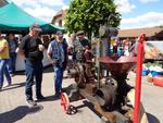 Vieux moteurs dimanche 2025 (35) (Small)