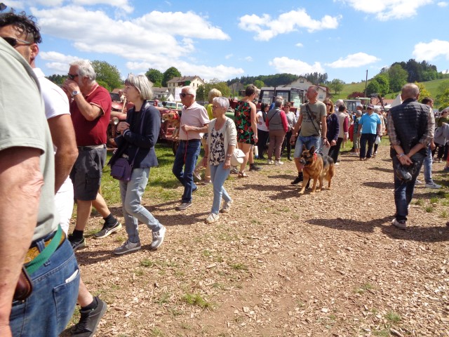 Vieux moteurs dimanche 2025 (64) (Small)