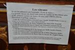Marche Populaire 31 mai 2025C Schmidlin (10) (Small)