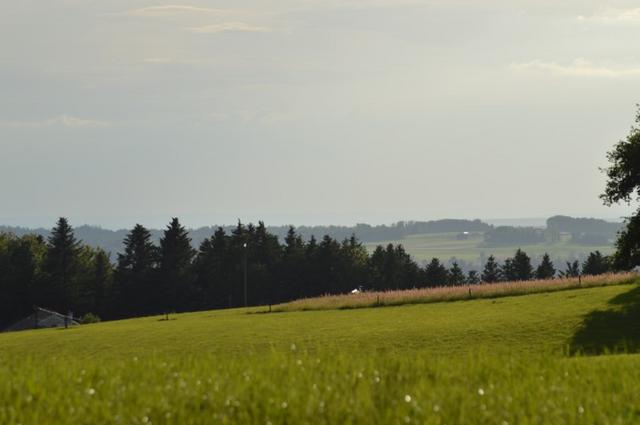 Marche Populaire 31 mai 2025C Schmidlin (65) (Small)