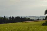 Marche Populaire 31 mai 2025C Schmidlin (65) (Small)
