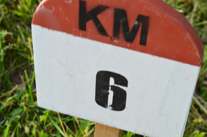 Marche Populaire 31 mai 2025C Schmidlin (68) (Small)