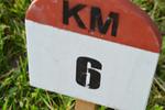 Marche Populaire 31 mai 2025C Schmidlin (68) (Small)