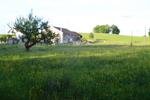Marche Populaire 31 mai 2025C Schmidlin (69) (Small)