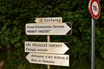 Marche Populaire 31 mai 2025C Schmidlin (71) (Small)
