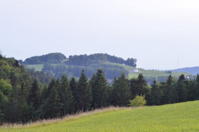 Marche Populaire 31 mai 2025C Schmidlin (75) (Small)