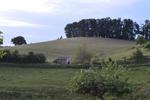 Marche Populaire 31 mai 2025C Schmidlin (78) (Small)