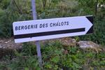 Marche Populaire 31 mai 2025C Schmidlin (81) (Small)