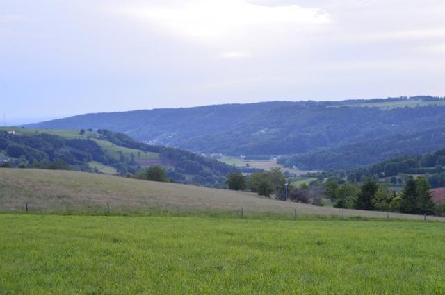 Marche Populaire 31 mai 2025C Schmidlin (84) (Small)