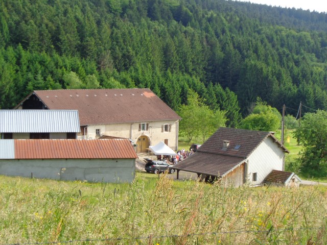 MP Simone  (29) (Small)