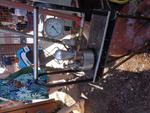 3 peche et eau (15) (Small)