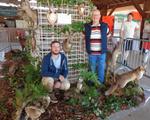5 La chasse et la nature (7) (Small)