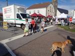 5 La chasse et la nature (11) (Small)