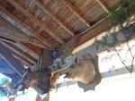 5 La chasse et la nature (40) (Small)