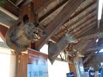 5 La chasse et la nature (41) (Small)