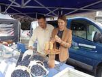 6 Marche d ete bluet plantes miel escargot (7) (Small)