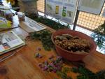 6 Marche d ete bluet plantes miel escargot (28) (Small)