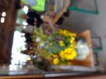 6 Marche d ete bluet plantes miel escargot (37) (Small)