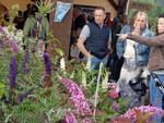 6 Marche d ete bluet plantes miel escargot (42) (Small)