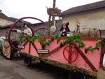 Defile Foire aux andouilles (23) (Small)