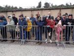 Defile Foire aux andouilles (172) (Small)