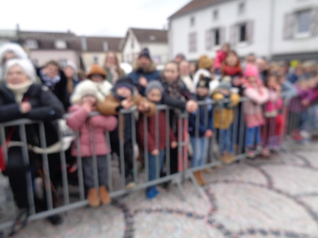 Defile Foire aux andouilles (185) (Small)