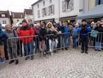 Defile Foire aux andouilles (188) (Small)