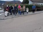 Defile Foire aux andouilles (215) (Small)