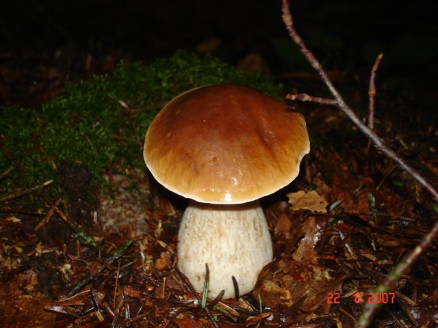 DSC08408