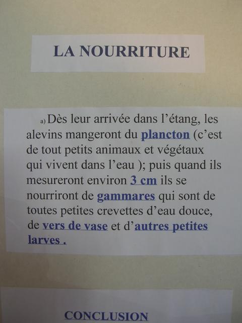 Eau marche d ete 2007 014